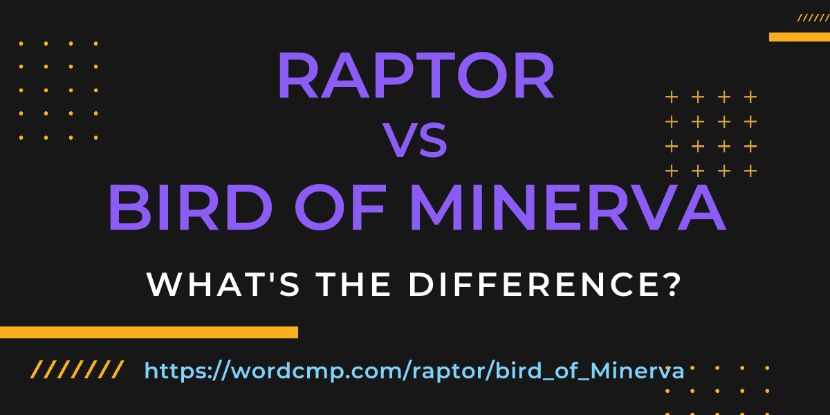 Difference between raptor and bird of Minerva