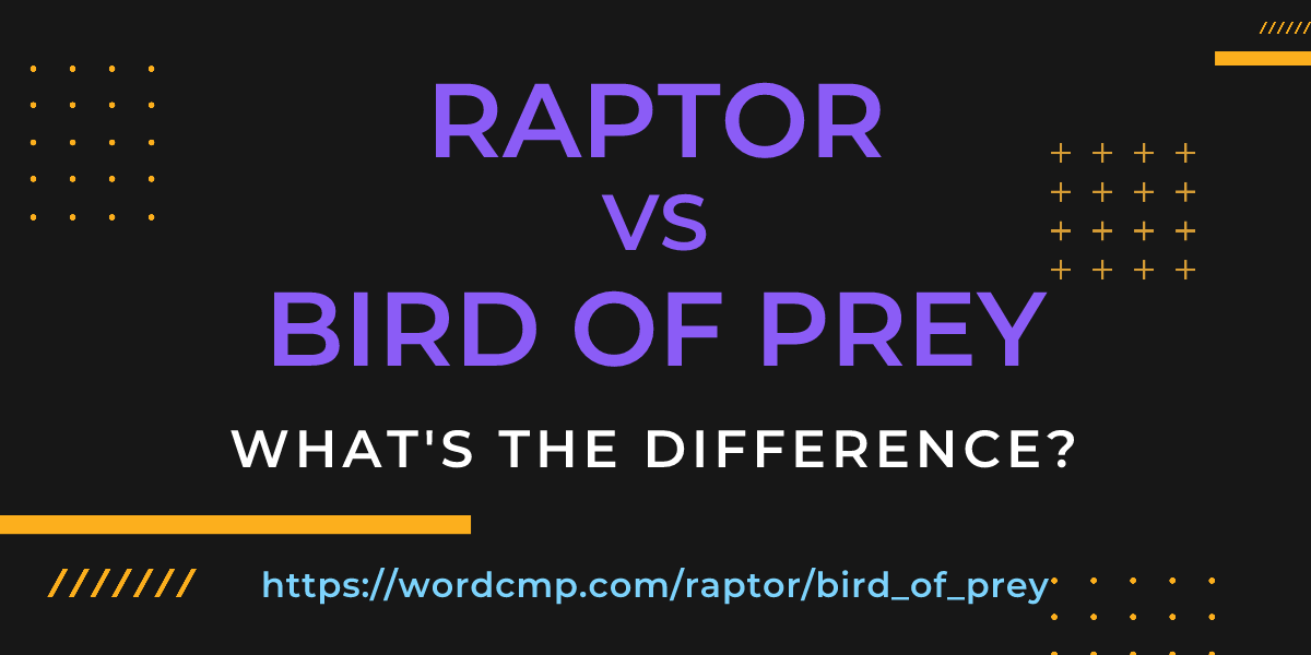 Difference between raptor and bird of prey