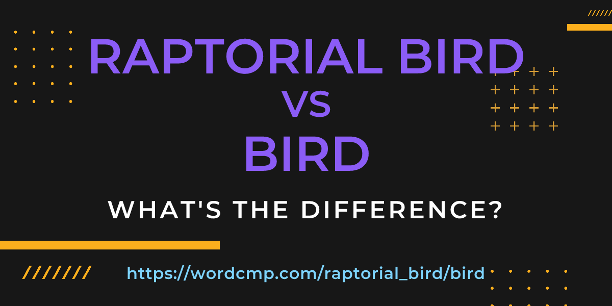 Difference between raptorial bird and bird