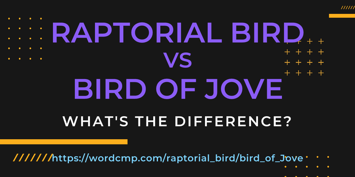 Difference between raptorial bird and bird of Jove