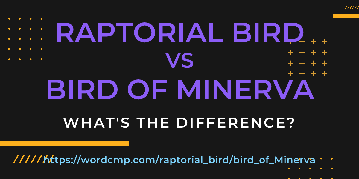 Difference between raptorial bird and bird of Minerva