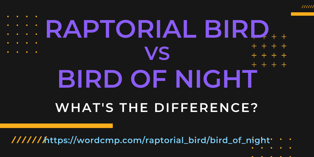 Difference between raptorial bird and bird of night