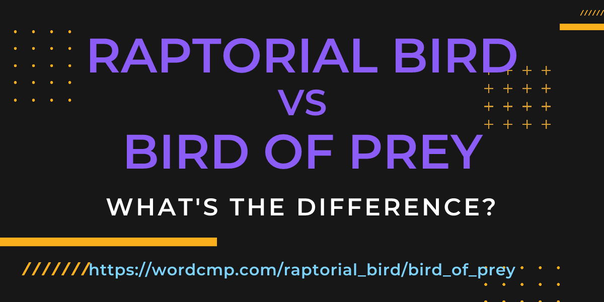 Difference between raptorial bird and bird of prey