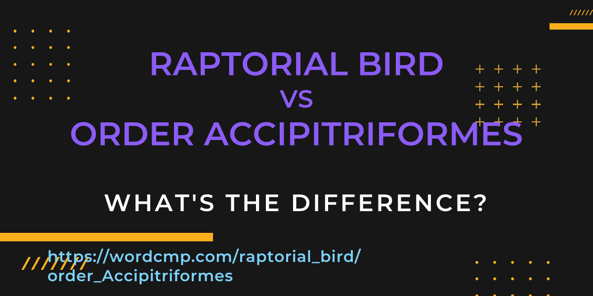 Difference between raptorial bird and order Accipitriformes