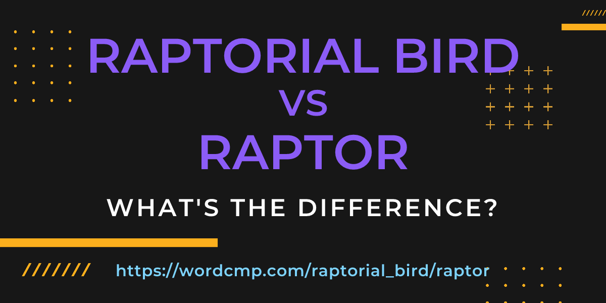 Difference between raptorial bird and raptor