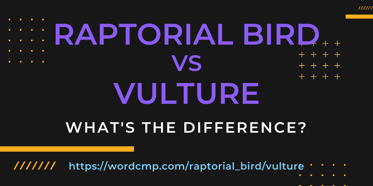 Difference between raptorial bird and vulture