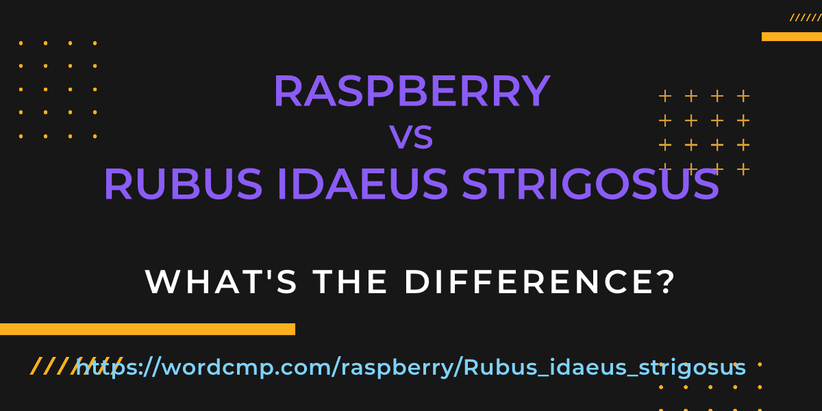 Difference between raspberry and Rubus idaeus strigosus