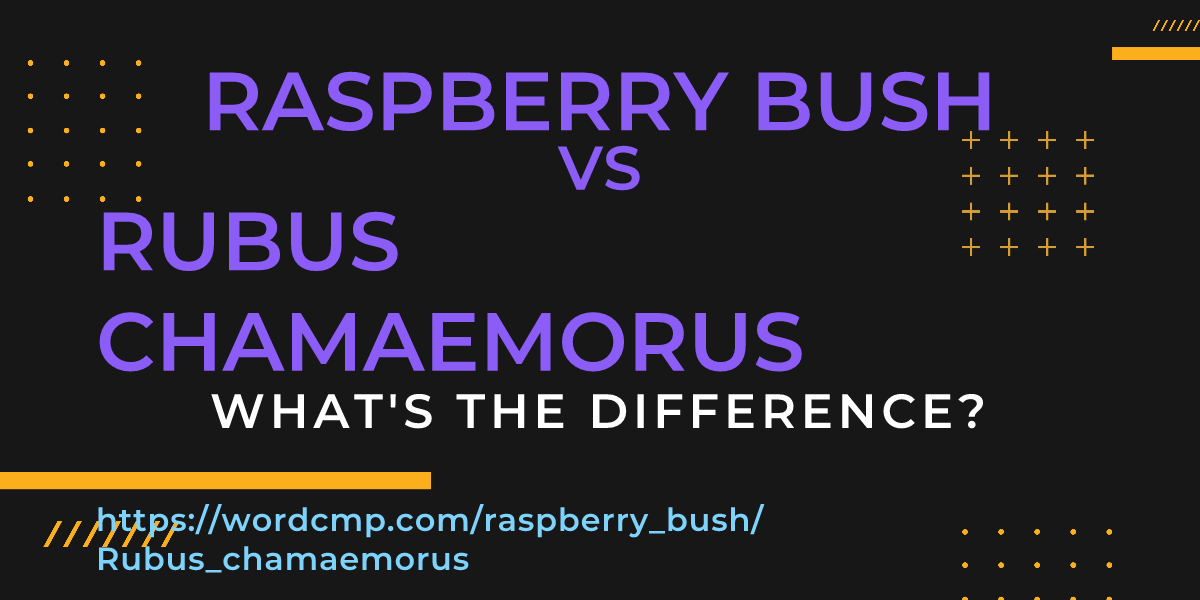 Difference between raspberry bush and Rubus chamaemorus