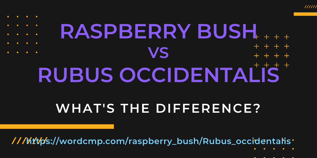 Difference between raspberry bush and Rubus occidentalis