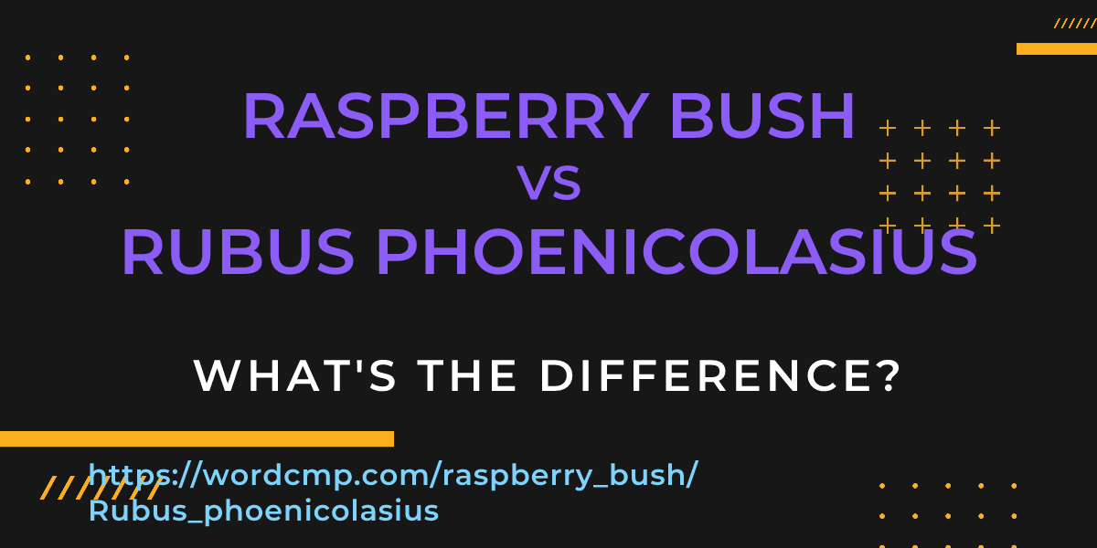 Difference between raspberry bush and Rubus phoenicolasius