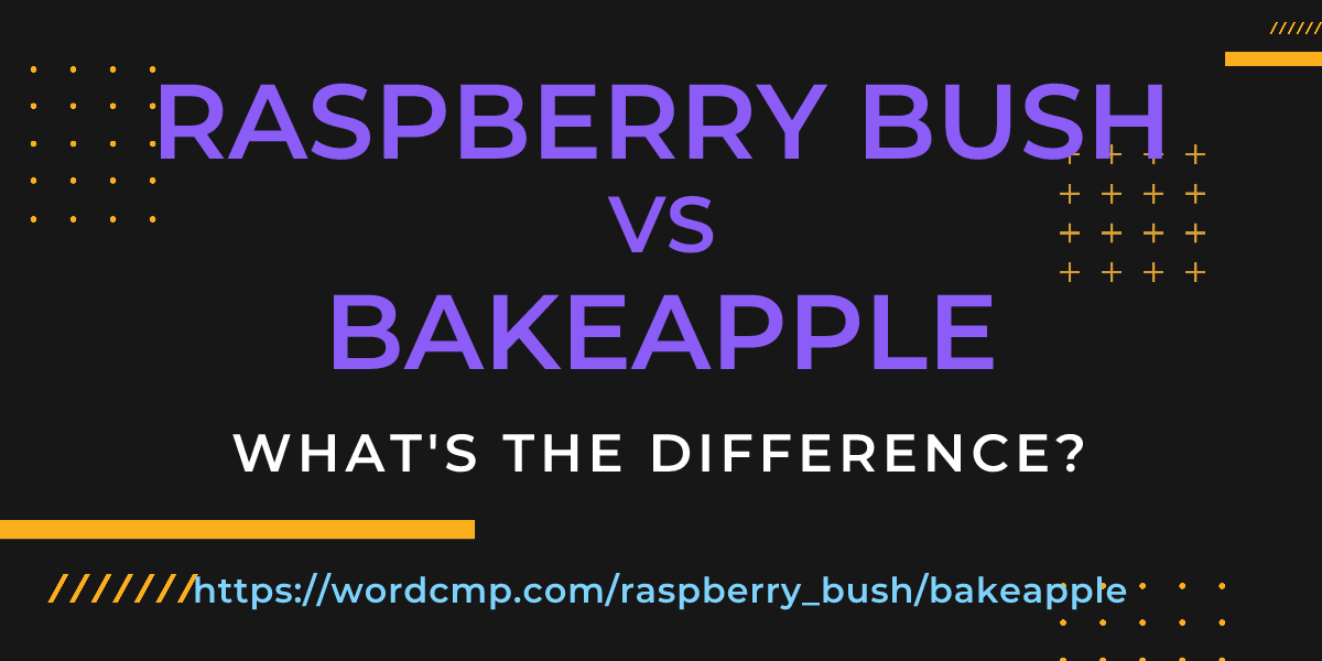 Difference between raspberry bush and bakeapple