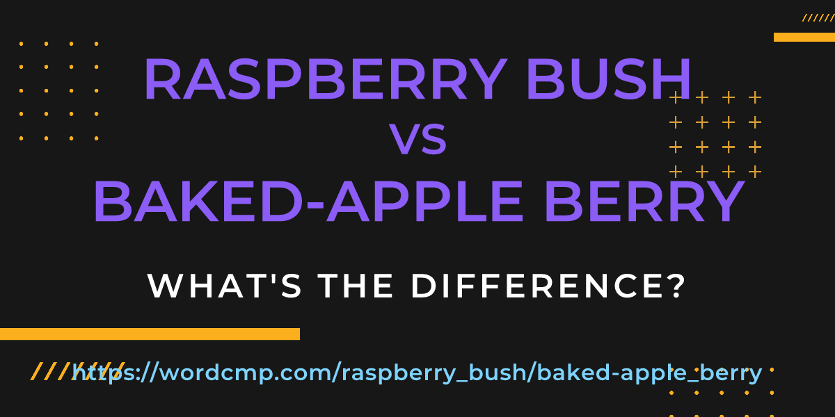 Difference between raspberry bush and baked-apple berry