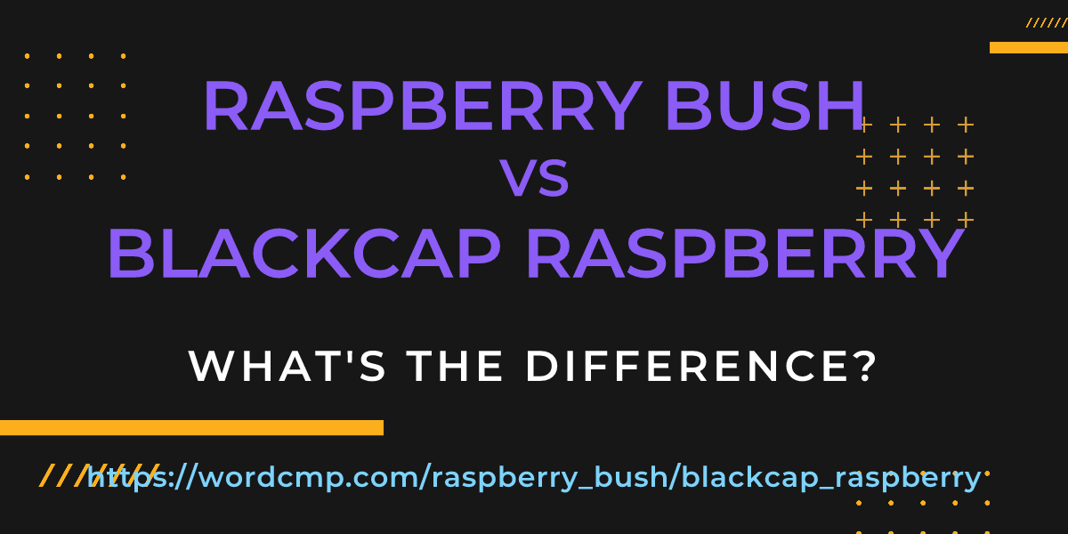 Difference between raspberry bush and blackcap raspberry