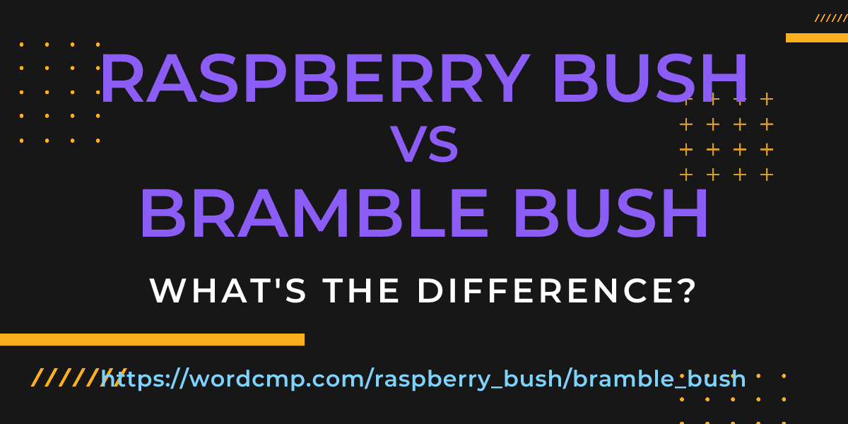 Difference between raspberry bush and bramble bush