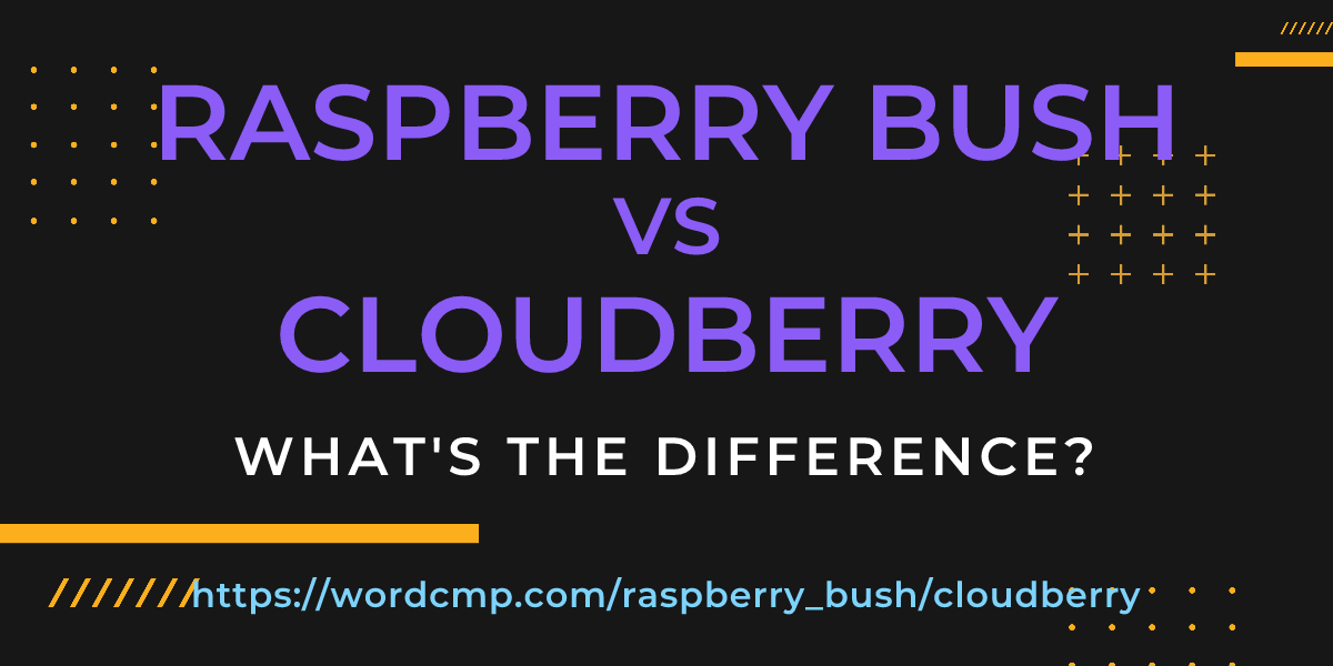 Difference between raspberry bush and cloudberry