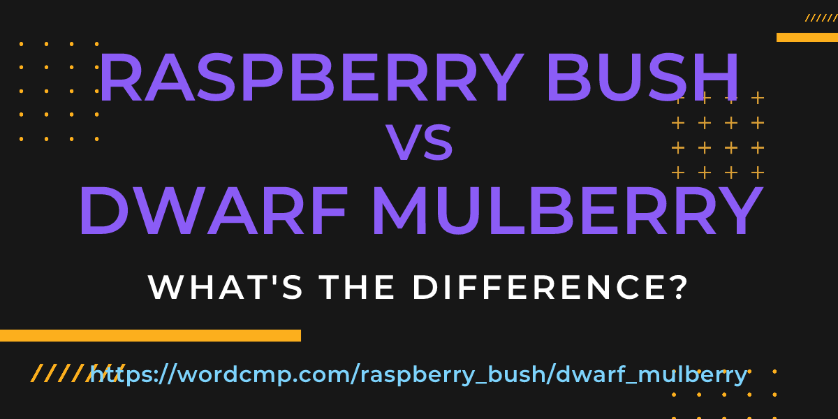 Difference between raspberry bush and dwarf mulberry