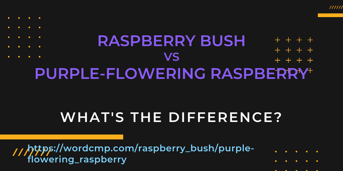 Difference between raspberry bush and purple-flowering raspberry