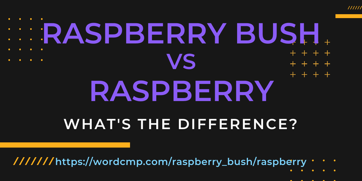 Difference between raspberry bush and raspberry