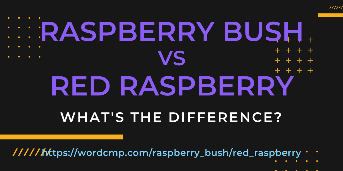 Difference between raspberry bush and red raspberry