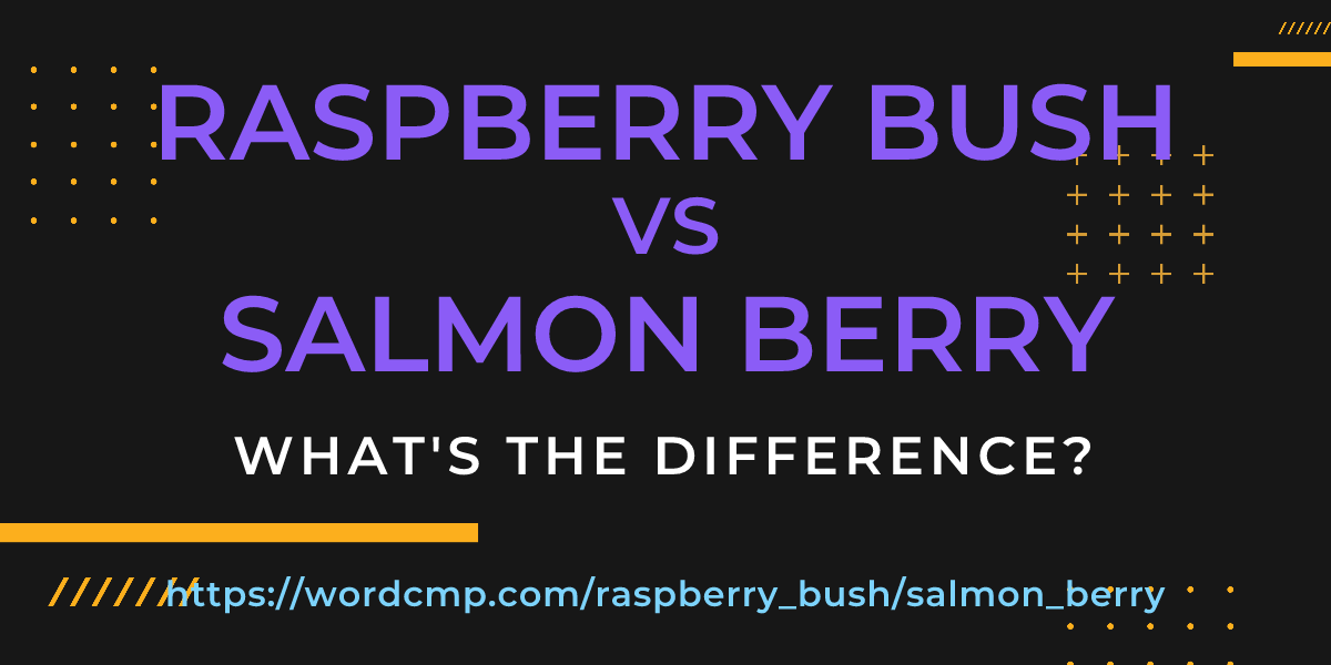 Difference between raspberry bush and salmon berry