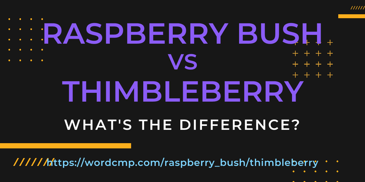 Difference between raspberry bush and thimbleberry