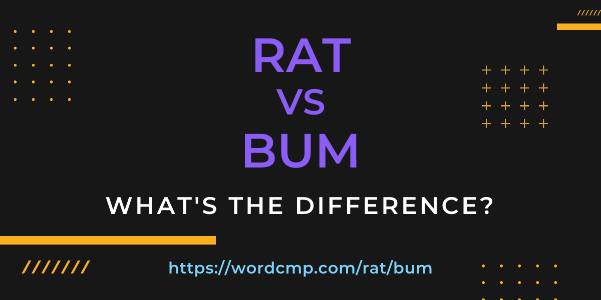 Difference between rat and bum
