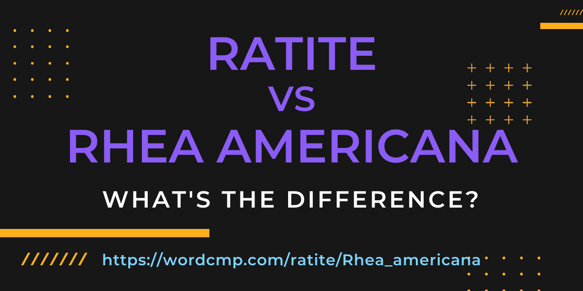 Difference between ratite and Rhea americana