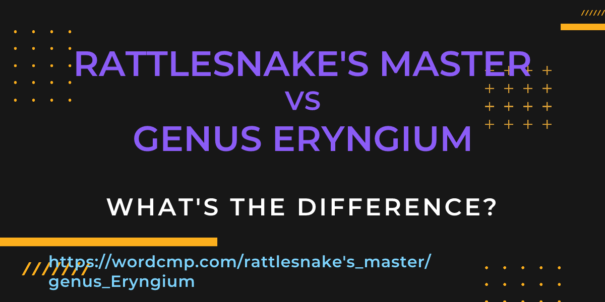 Difference between rattlesnake's master and genus Eryngium