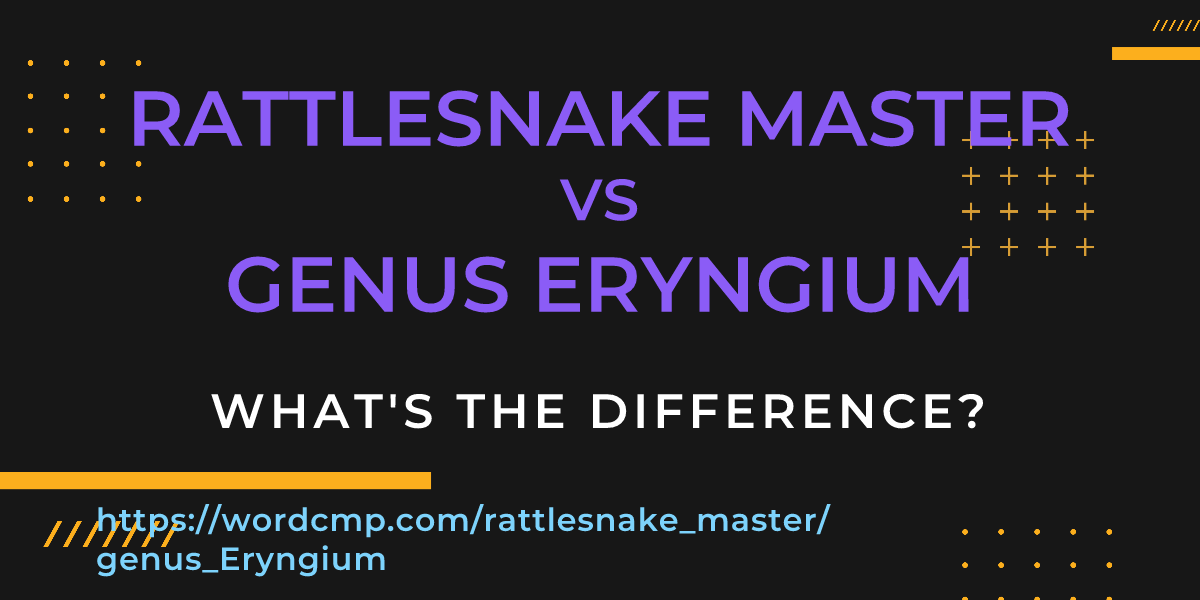 Difference between rattlesnake master and genus Eryngium