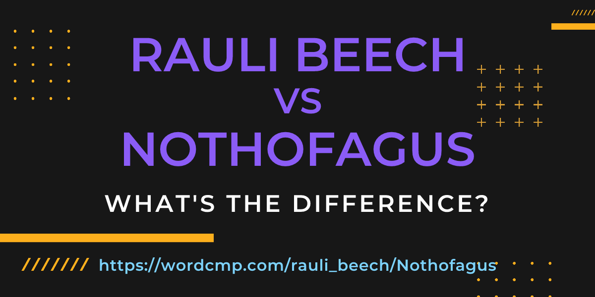 Difference between rauli beech and Nothofagus