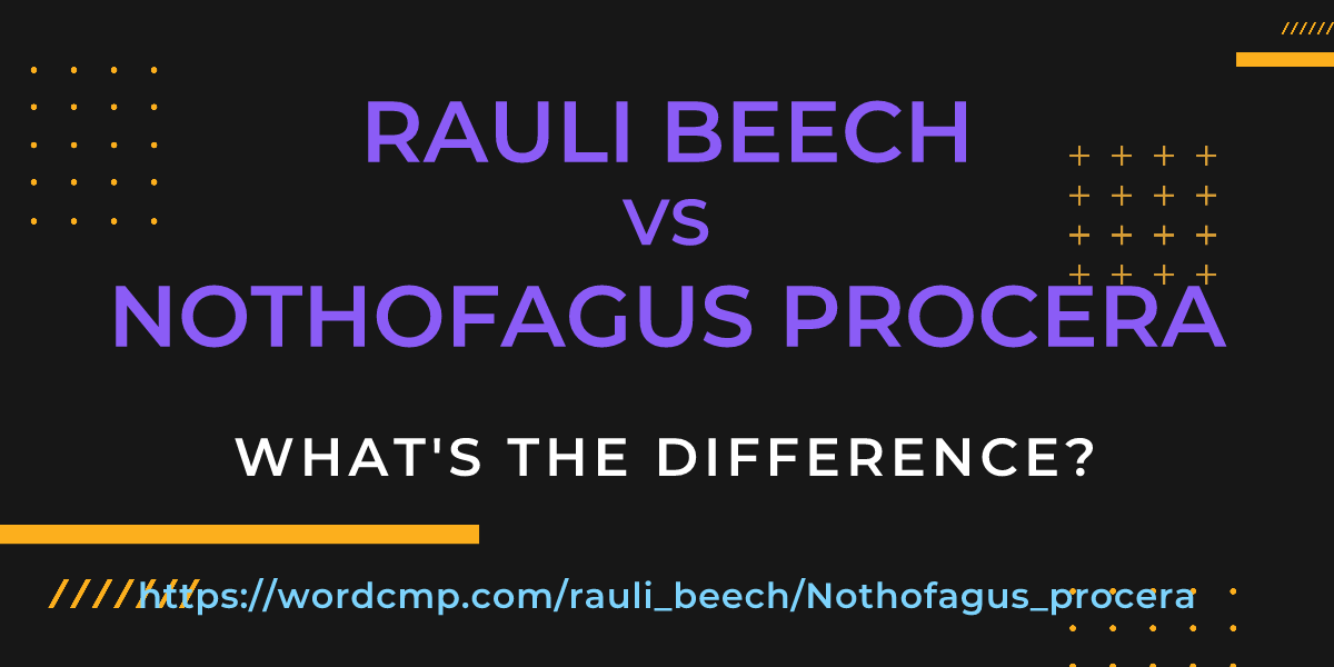 Difference between rauli beech and Nothofagus procera