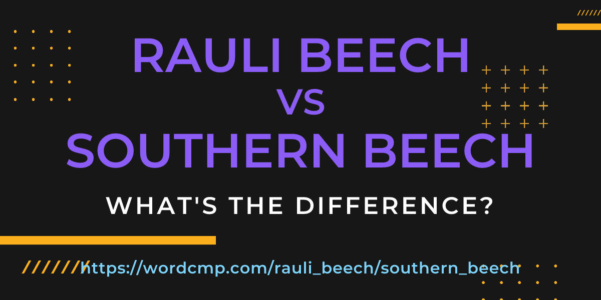 Difference between rauli beech and southern beech