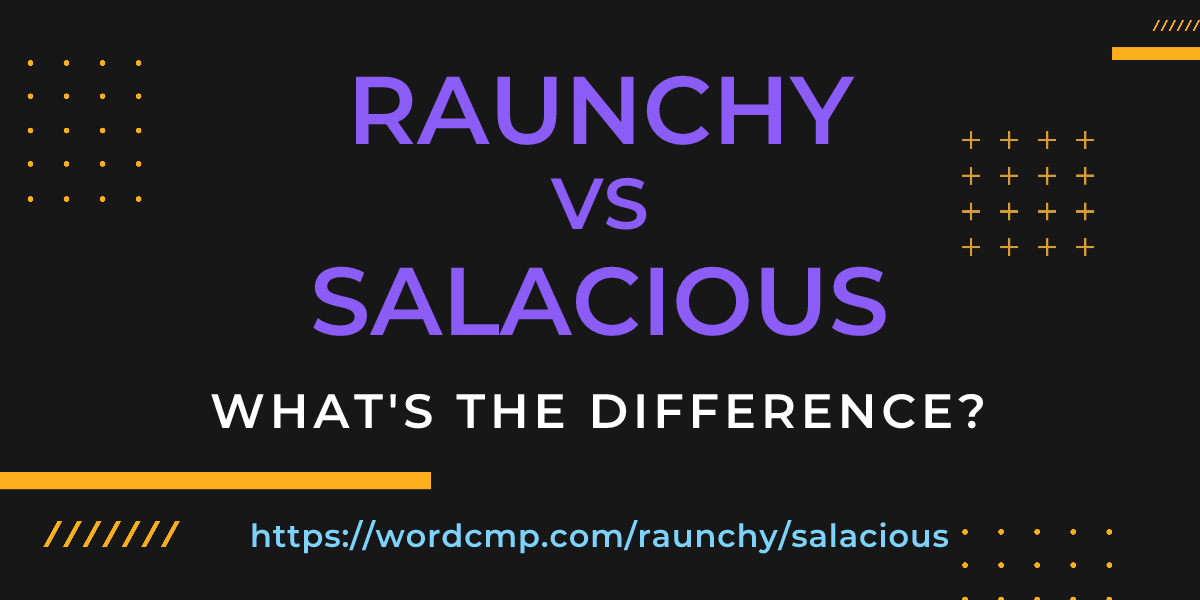 Difference between raunchy and salacious
