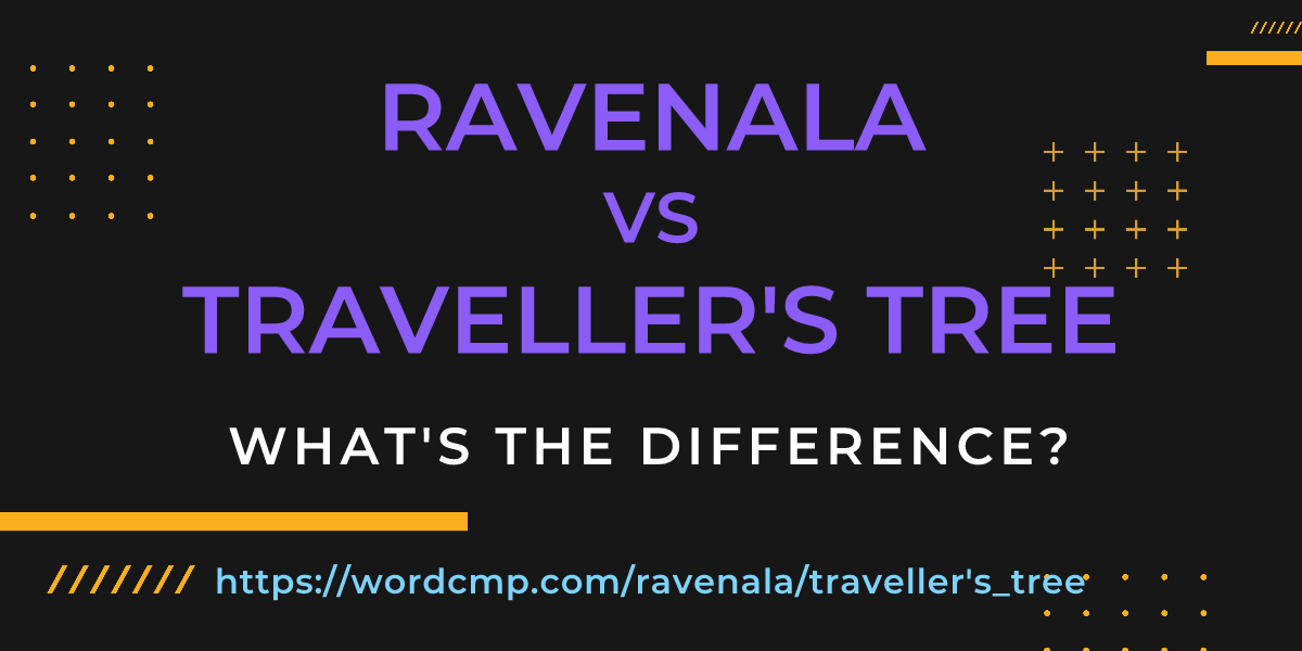 Difference between ravenala and traveller's tree