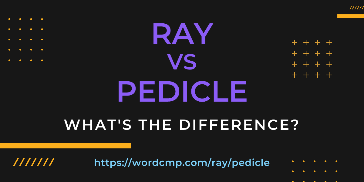 Difference between ray and pedicle