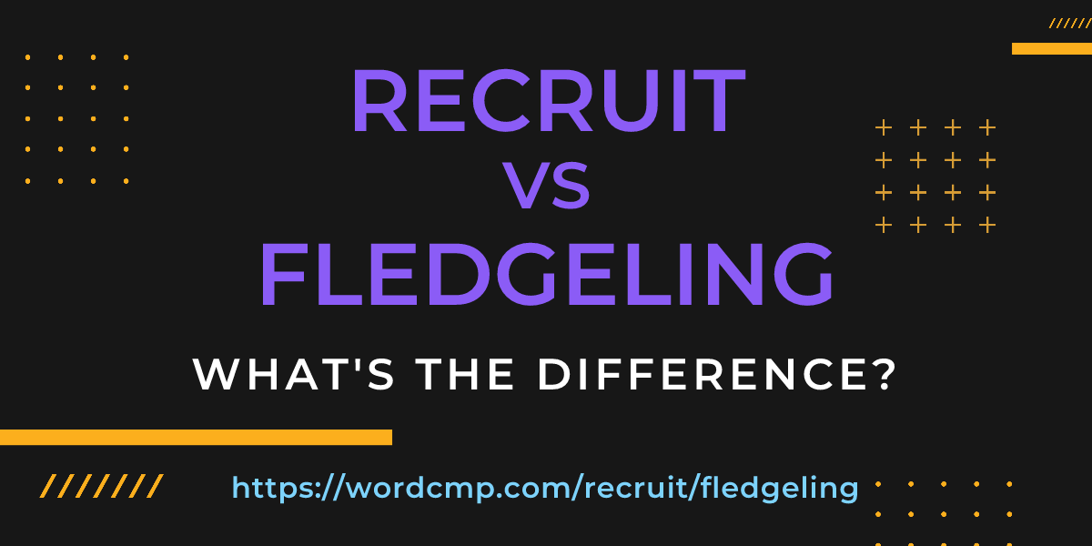Difference between recruit and fledgeling