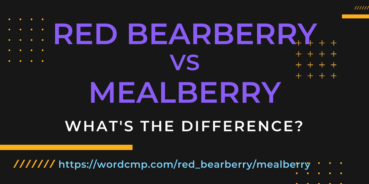 Difference between red bearberry and mealberry