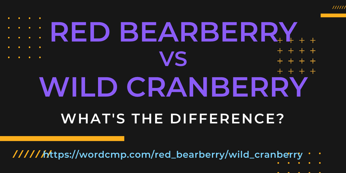 Difference between red bearberry and wild cranberry