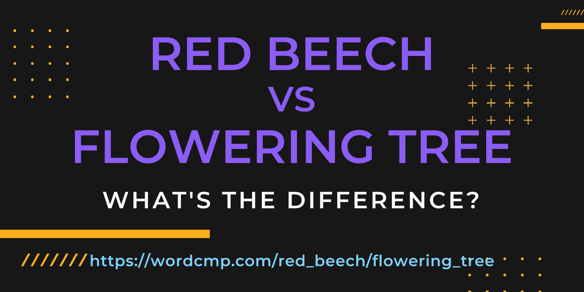 Difference between red beech and flowering tree