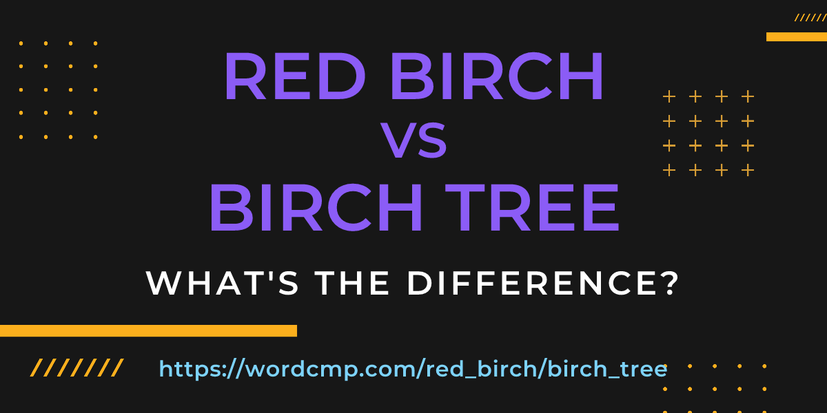 Difference between red birch and birch tree