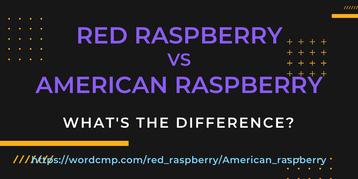 Difference between red raspberry and American raspberry