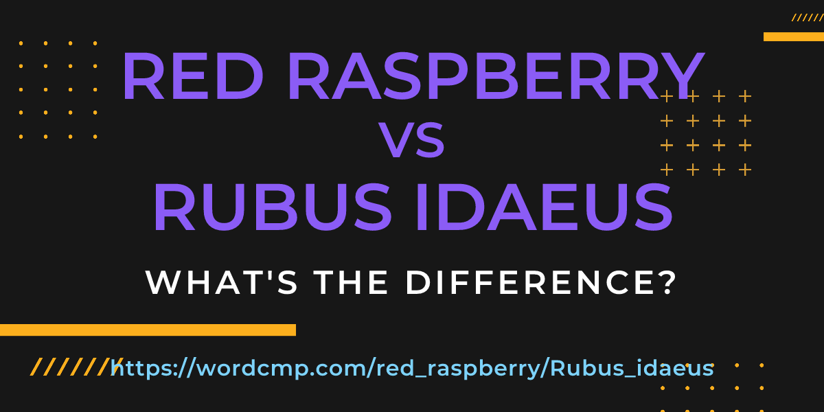 Difference between red raspberry and Rubus idaeus