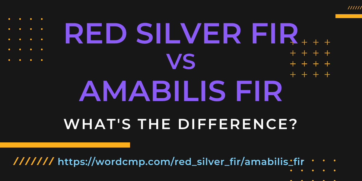 Difference between red silver fir and amabilis fir