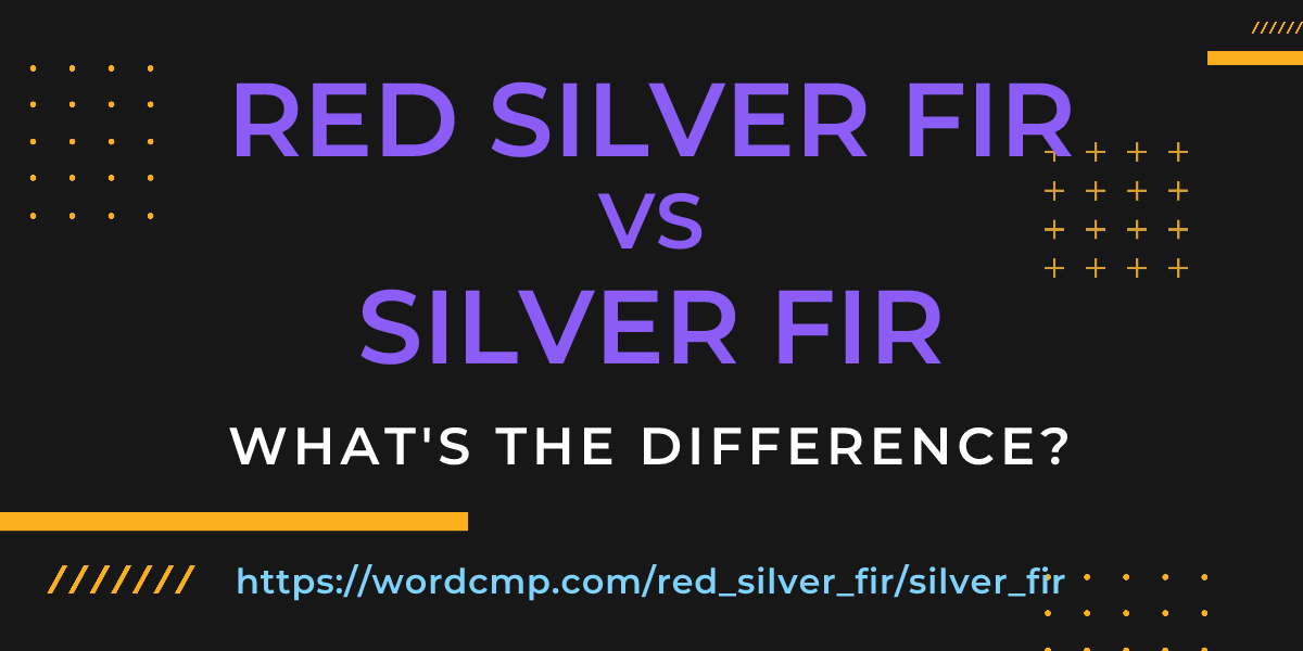 Difference between red silver fir and silver fir