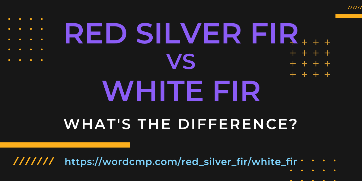 Difference between red silver fir and white fir