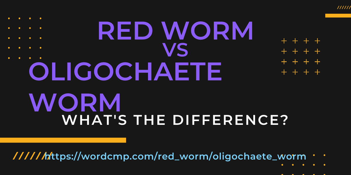 Difference between red worm and oligochaete worm