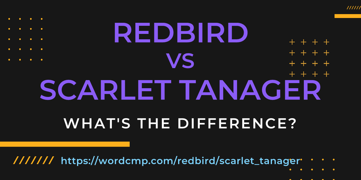 Difference between redbird and scarlet tanager