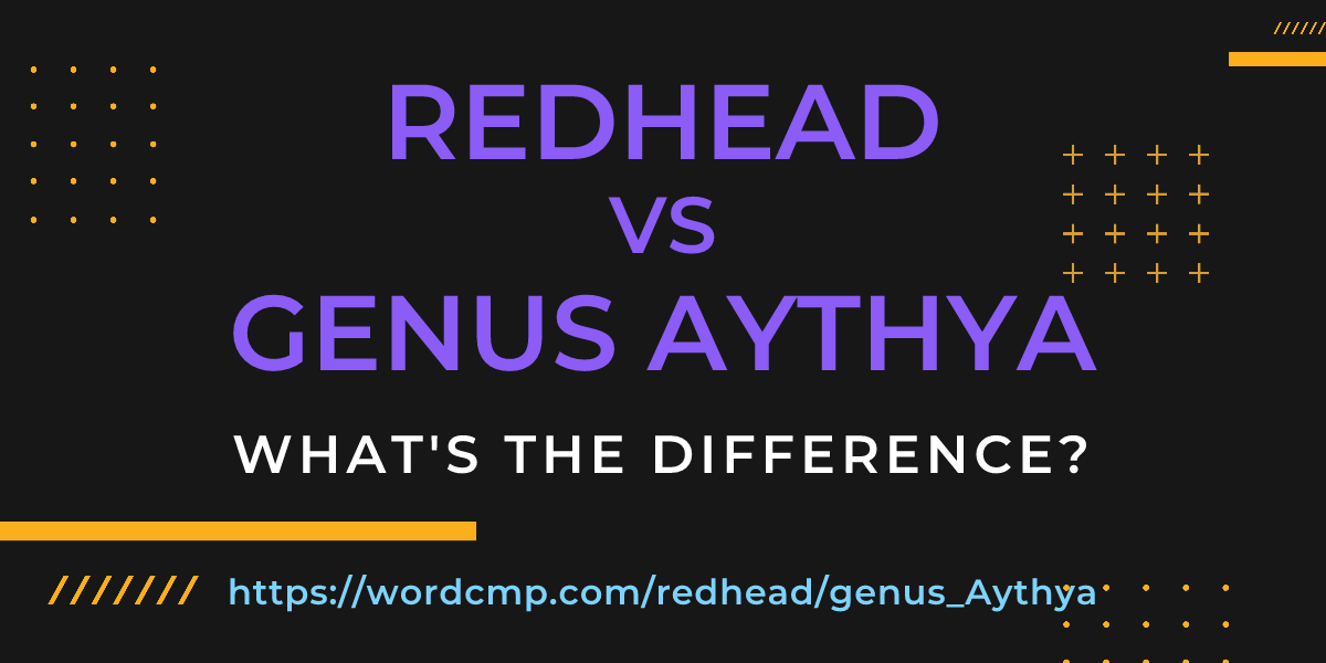 Difference between redhead and genus Aythya