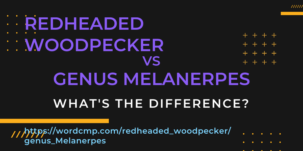 Difference between redheaded woodpecker and genus Melanerpes