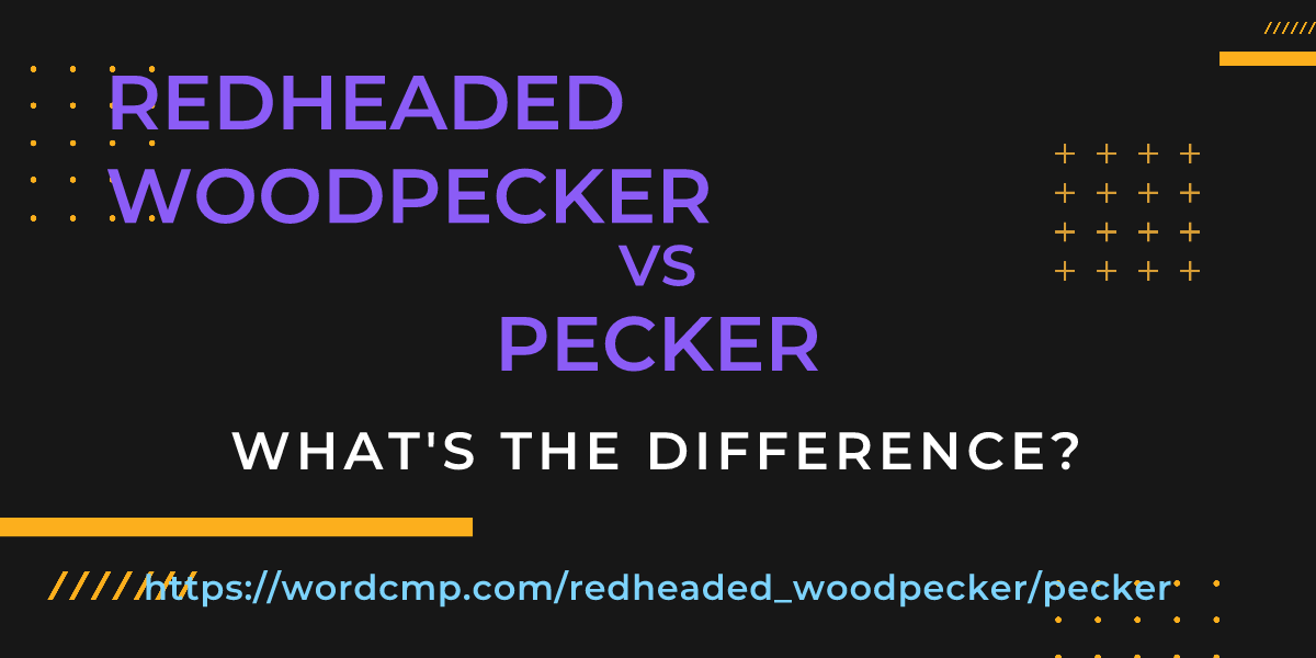 Difference between redheaded woodpecker and pecker